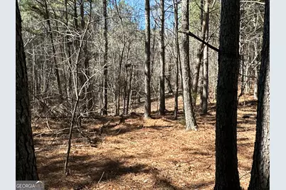 3472 Prior Station Road, Cedartown, GA 30125 - Photo 3