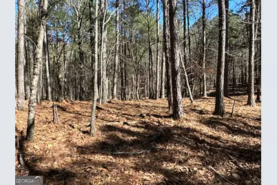 3472 Prior Station Road, Cedartown, GA 30125 - Photo 55