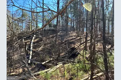 3472 Prior Station Road, Cedartown, GA 30125 - Photo 25