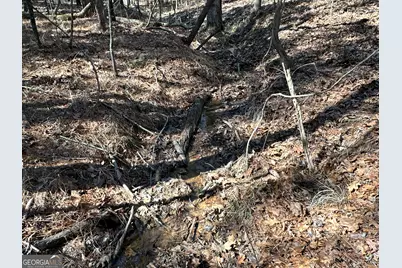 3472 Prior Station Road, Cedartown, GA 30125 - Photo 53