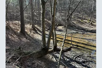 3472 Prior Station Road, Cedartown, GA 30125 - Photo 19