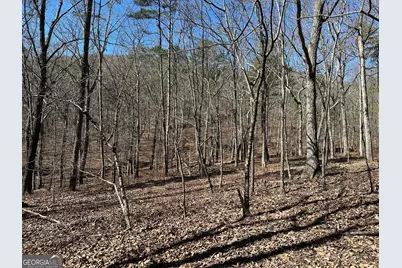 3472 Prior Station Road, Cedartown, GA 30125 - Photo 7