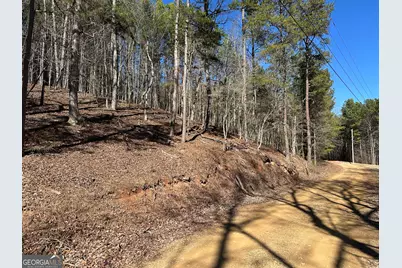 3472 Prior Station Road, Cedartown, GA 30125 - Photo 69