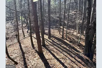 3472 Prior Station Road, Cedartown, GA 30125 - Photo 51