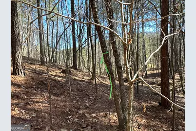 3472 Prior Station Road, Cedartown, GA 30125 - Photo 13