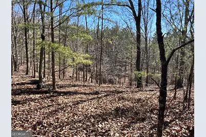 3472 Prior Station Road, Cedartown, GA 30125 - Photo 41