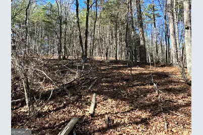 3472 Prior Station Road, Cedartown, GA 30125 - Photo 29