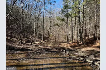 3472 Prior Station Road, Cedartown, GA 30125 - Photo 17