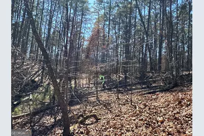 3472 Prior Station Road, Cedartown, GA 30125 - Photo 27