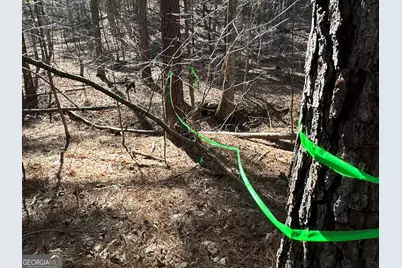 3472 Prior Station Road, Cedartown, GA 30125 - Photo 35