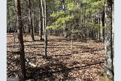 3472 Prior Station Road, Cedartown, GA 30125 - Photo 43