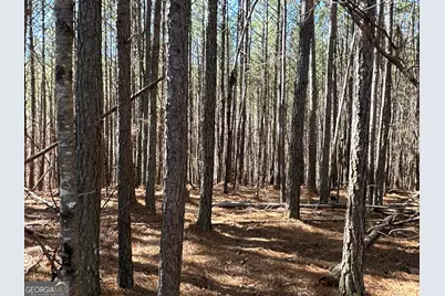 3472 Prior Station Road, Cedartown, GA 30125 - Photo 61