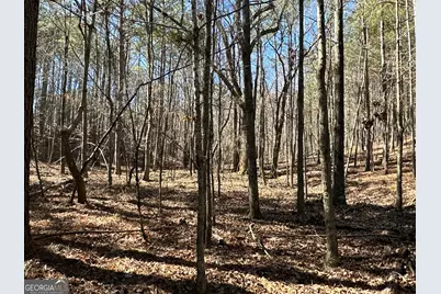 3472 Prior Station Road, Cedartown, GA 30125 - Photo 47