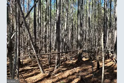 3472 Prior Station Road, Cedartown, GA 30125 - Photo 59