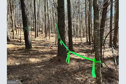 3472 Prior Station Road, Cedartown, GA 30125 - Photo 31