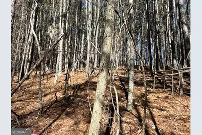 3472 Prior Station Road, Cedartown, GA 30125 - Photo 11