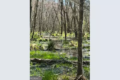 2607 Hughes Road, Bowman, GA 30624 - Photo 5