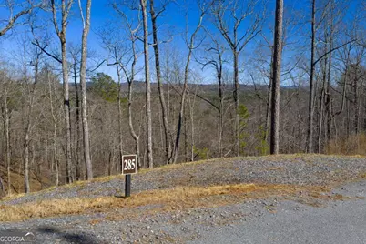 Lot 285 Anglers Ridge Road, Talking Rock, GA 30175 - Photo 3
