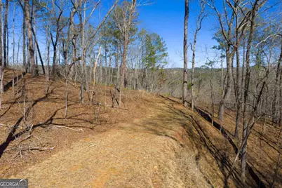 Lot 285 Anglers Ridge Road, Talking Rock, GA 30175 - Photo 7