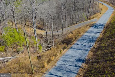 Lot 285 Anglers Ridge Road, Talking Rock, GA 30175 - Photo 17