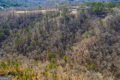 Lot 285 Anglers Ridge Road, Talking Rock, GA 30175 - Photo 9