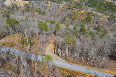 Lot 285 Anglers Ridge Road, Talking Rock, GA 30175 - Photo 13