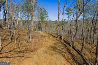 Lot 285 Anglers Ridge Road, Talking Rock, GA 30175 - Photo 19