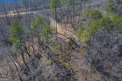 Lot 285 Anglers Ridge Road, Talking Rock, GA 30175 - Photo 15