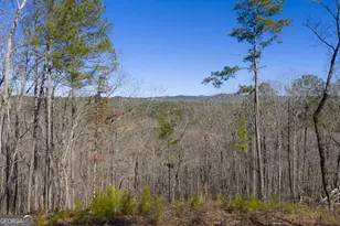 Lot 285 Anglers Ridge Rd, Talking Rock, GA 30175 - Photo 1