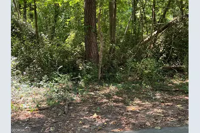 0 Tye, Stockbridge, GA 30281 - Photo 3