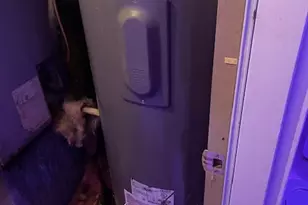 215 Sherwood Loop, McDonough, GA 30253 - Photo 9