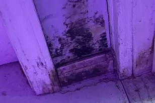 215 Sherwood Loop, McDonough, GA 30253 - Photo 7