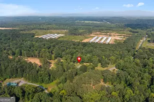 437 Cohutta Beaverdale Rd, Cohutta, GA 30710 - Photo 47