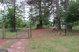 1105 Hampton Rd, Hampton, GA 30228 - Photo 59