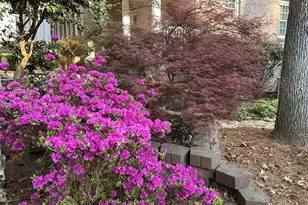 1660 Club Dr, Greensboro, GA 30642 - Photo 7