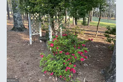 1660 Club Drive, Greensboro, GA 30642 - Photo 13