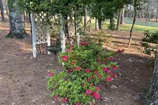 1660 Club Dr, Greensboro, GA 30642 - Photo 13