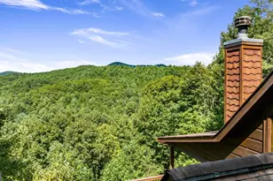 469 Mountain High Dr, Mineral Bluff, GA 30559 - Photo 43