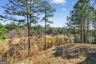 1307 Dayle Court, Macon, GA 31211 - Photo 29