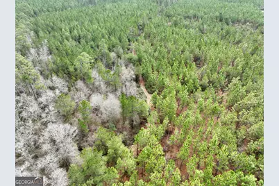 0 Outlaw Grove Way, Soperton, GA 30457 - Photo 19