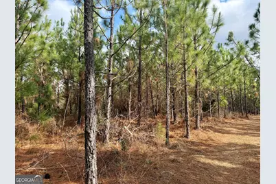 0 Outlaw Grove Way, Soperton, GA 30457 - Photo 27