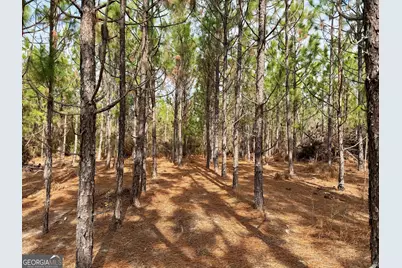 0 Outlaw Grove Way, Soperton, GA 30457 - Photo 29