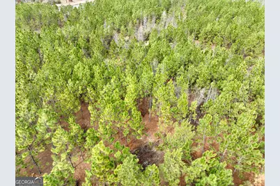 0 Outlaw Grove Way, Soperton, GA 30457 - Photo 21