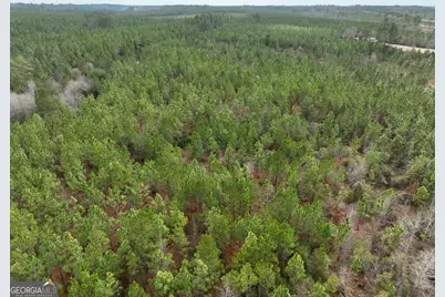 0 Outlaw Grove Way, Soperton, GA 30457 - Photo 17