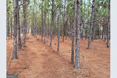 0 Outlaw Grove Way, Soperton, GA 30457 - Photo 3