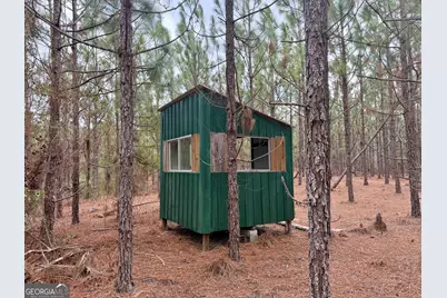 0 Outlaw Grove Way, Soperton, GA 30457 - Photo 5