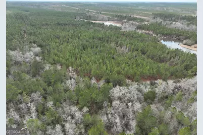 0 Outlaw Grove Way, Soperton, GA 30457 - Photo 15