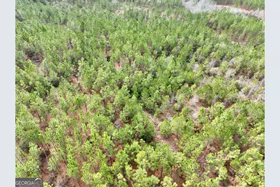 0 Outlaw Grove Way, Soperton, GA 30457 - Photo 7