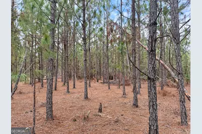 0 Outlaw Grove Way, Soperton, GA 30457 - Photo 31