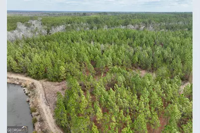 0 Outlaw Grove Way, Soperton, GA 30457 - Photo 25